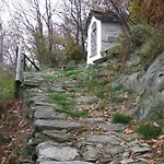 Panzió La Casa Nel Bosco *
