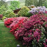 La Casa Nel Bosco * Mergozzo