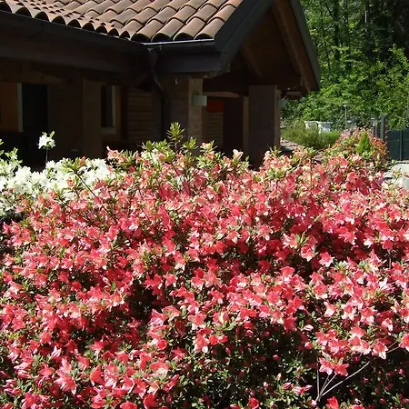 Frühstückspension La Casa Nel Bosco *