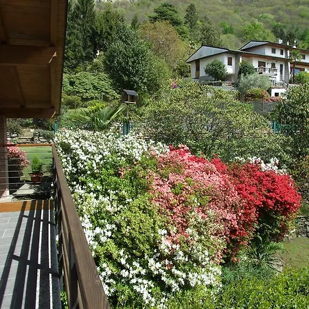 La Casa Nel Bosco ميرجوزو