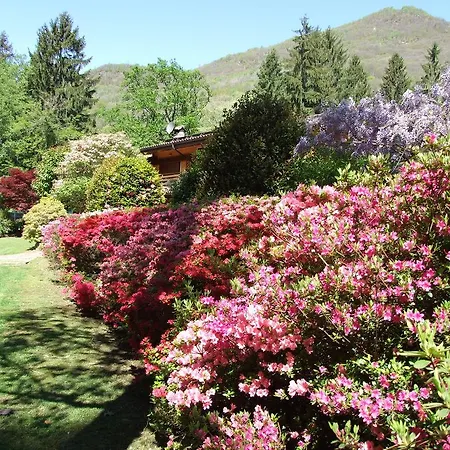 La Casa Nel Bosco Frühstückspension