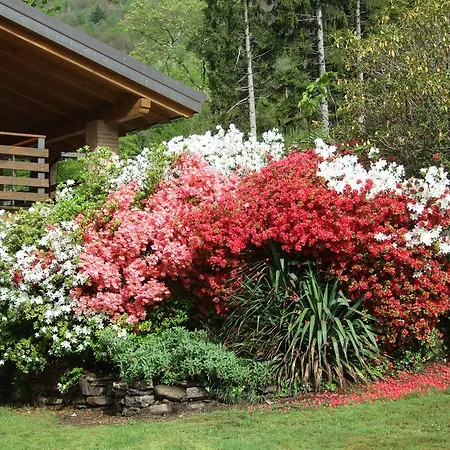 Frühstückspension La Casa Nel Bosco