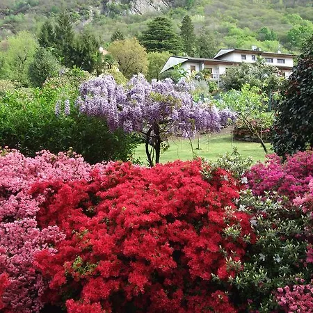 La Casa Nel Bosco فندق مبيت وإفطار