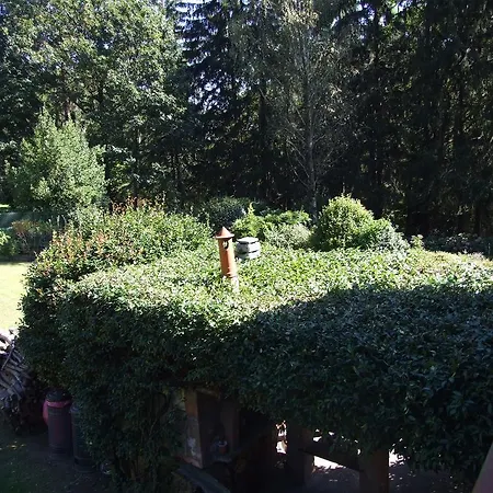 La Casa Nel Bosco *