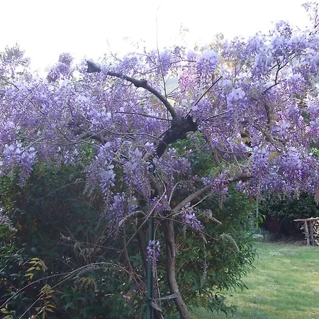 فندق مبيت وإفطار La Casa Nel Bosco