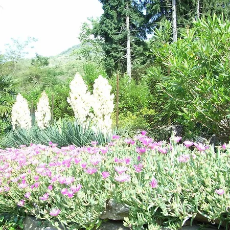 La Casa Nel Bosco