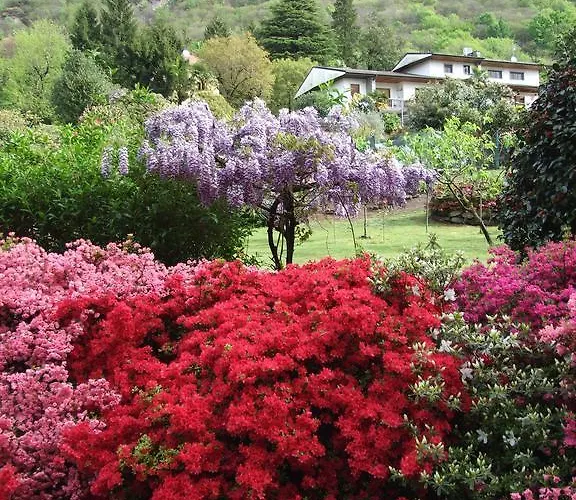 La Casa Nel Bosco Bed & Breakfast
