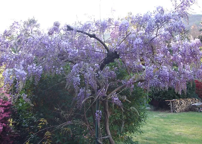 Bed & Breakfast La Casa Nel Bosco