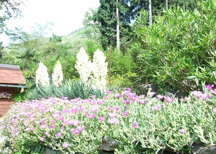 La Casa Nel Bosco